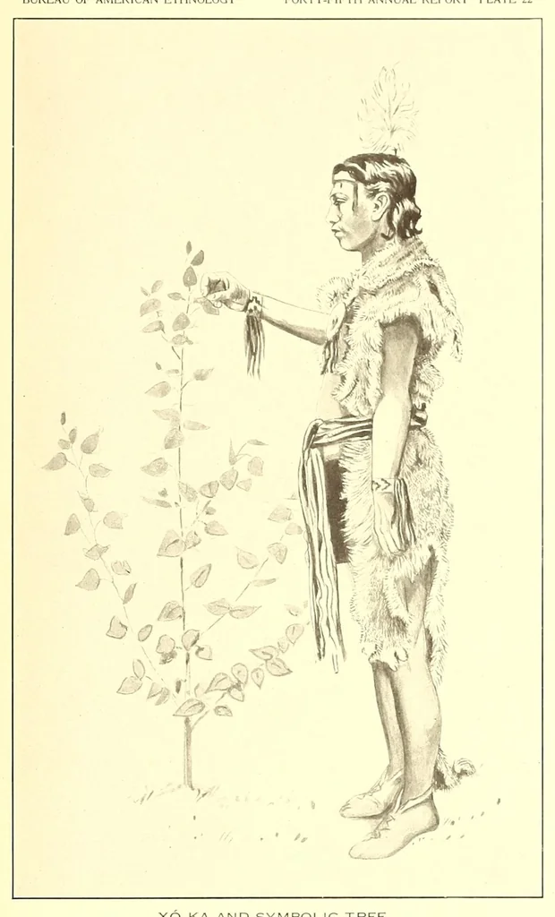 An illustration from Annual report of the Bureau of American Ethnology to the Secretary of the Smithsonian Institution, 1895, leaf 735