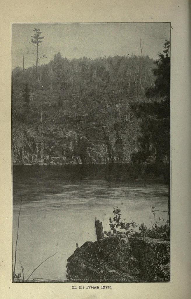 An illustration from Annual report of the Game and Fisheries Department of Ontario, 1911-13, 1907, leaf 540