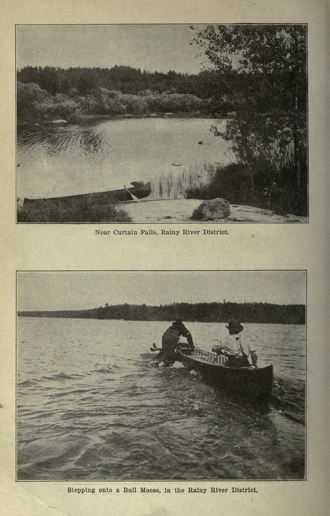 An illustration from Annual report of the Game and Fisheries Department of Ontario, 1911-13, 1907, leaf 544