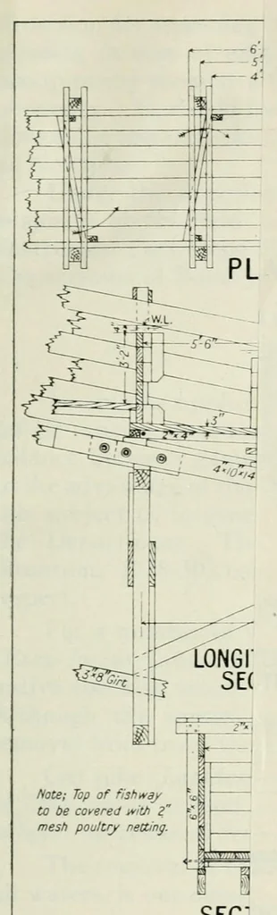 An illustration from Annual report of the Game and Fisheries Department of Ontario, 1921-34, 1907, leaf 349