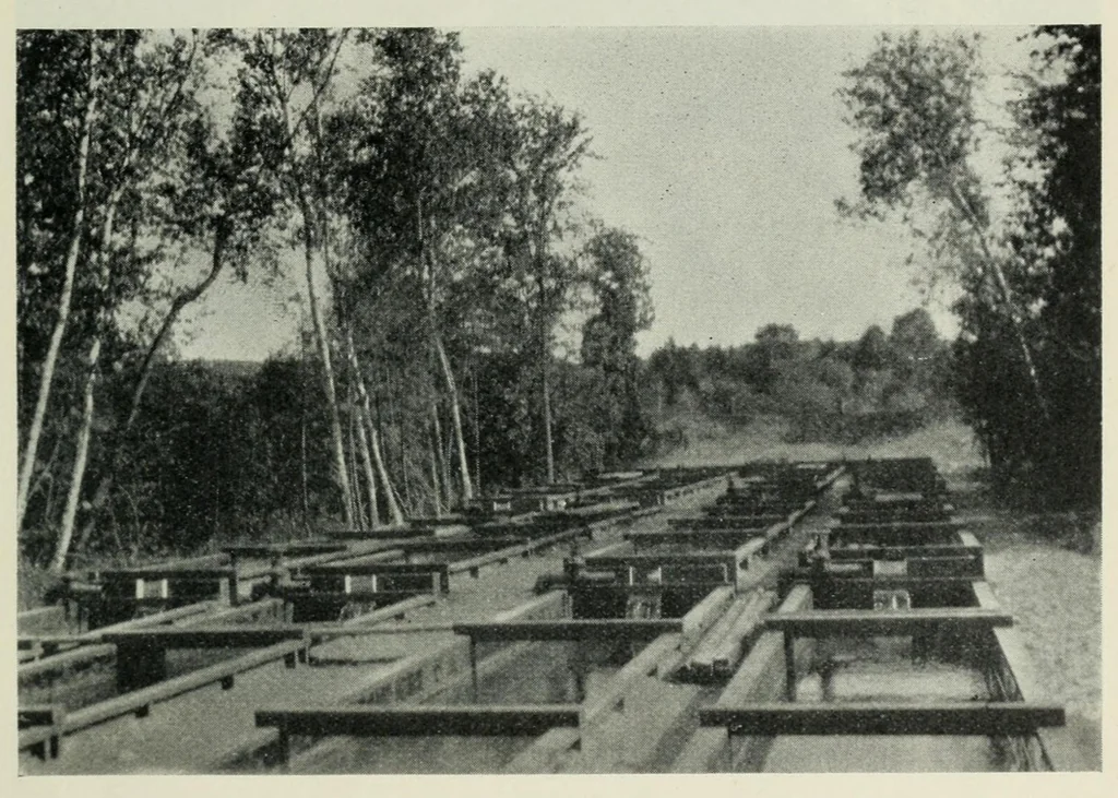 An illustration from Annual report of the Game and Fisheries Department of Ontario, 1921-34, 1907, leaf 357