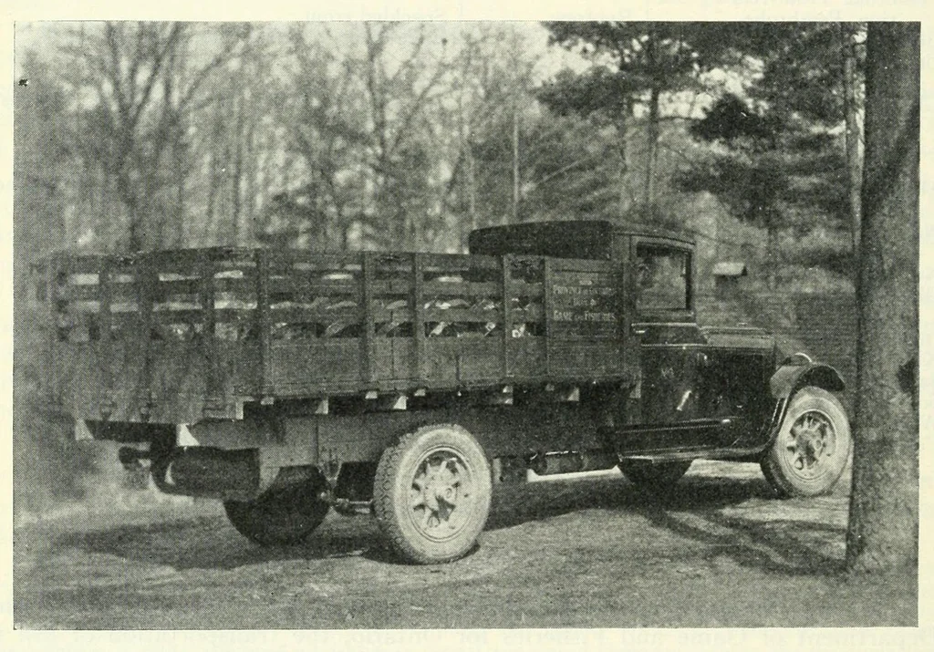 An illustration from Annual report of the Game and Fisheries Department of Ontario, 1921-34, 1907, leaf 370
