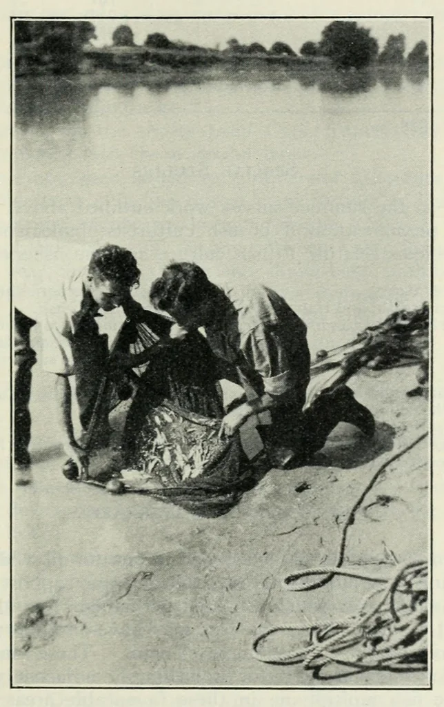 An illustration from Annual report of the Game and Fisheries Department of Ontario, 1921-34, 1907, leaf 439