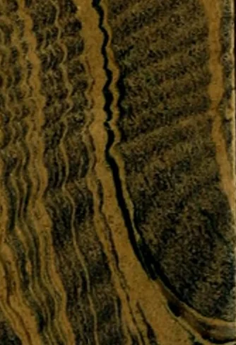 An illustration from Annual report of the Philadelphia Museum of Art, 1878, leaf 403