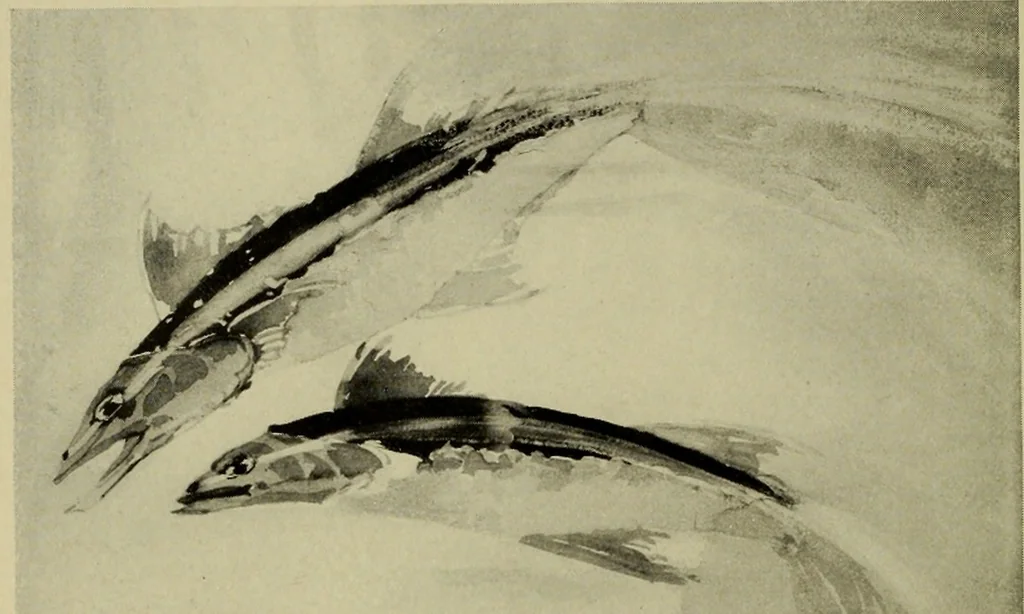 An illustration from Annual report of the Philadelphia Museum of Art, 1878, leaf 225