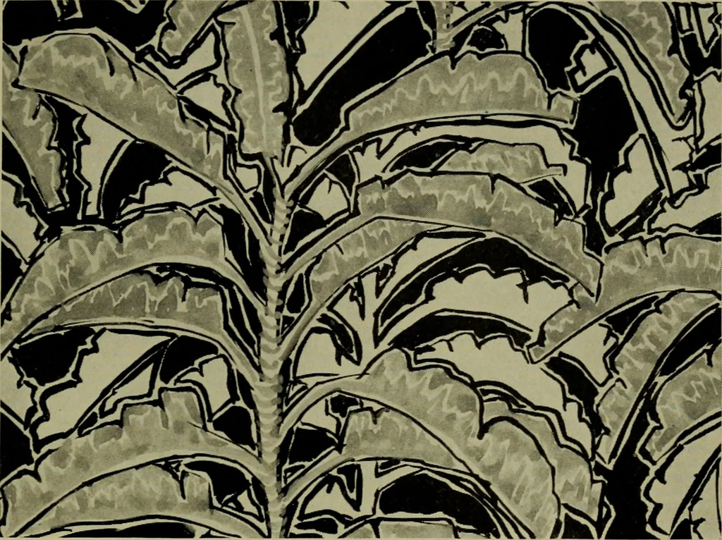 An illustration from Annual report of the Philadelphia Museum of Art, 1878, leaf 228