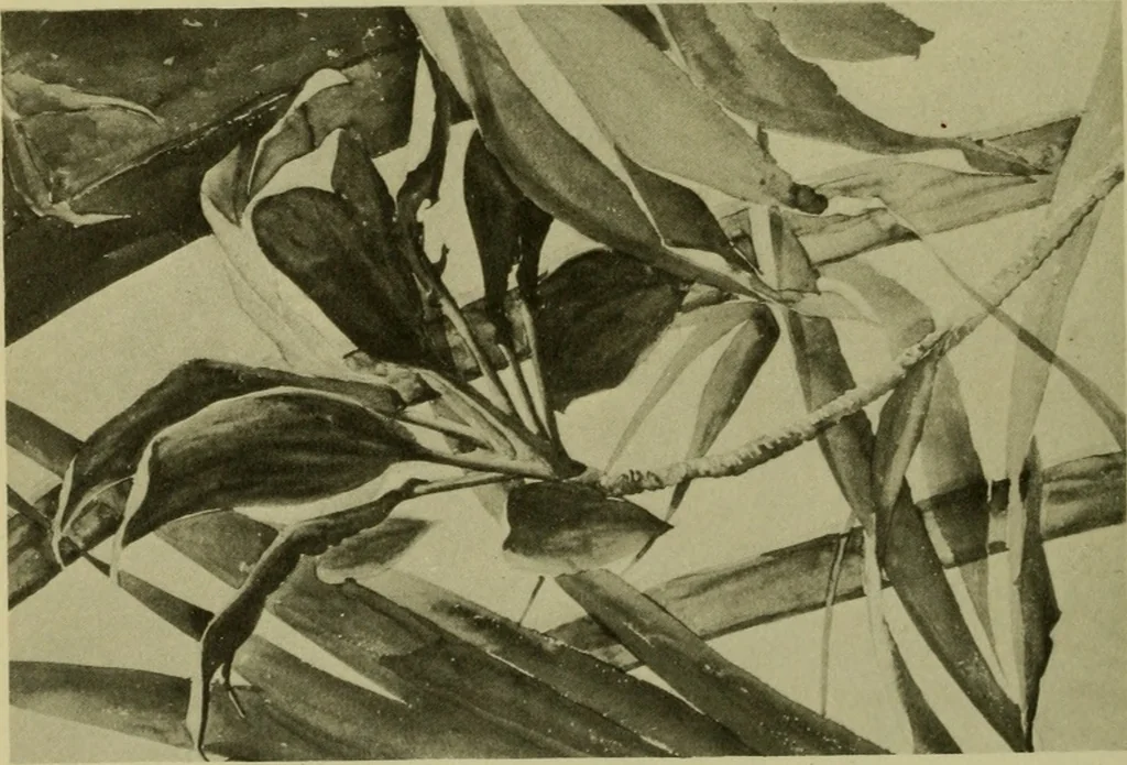 An illustration from Annual report of the Philadelphia Museum of Art, 1878, leaf 307