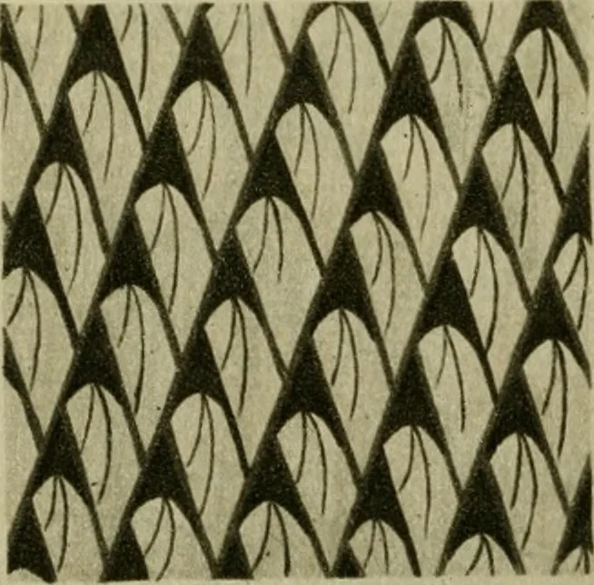 An illustration from Annual report of the Philadelphia Museum of Art, 1878, leaf 395