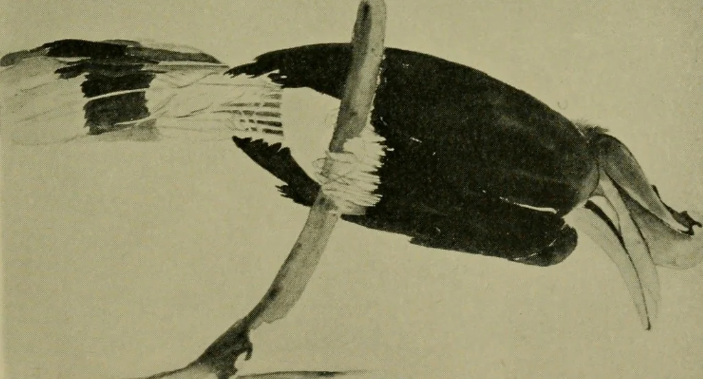 An illustration from Annual report of the Philadelphia Museum of Art, 1878, leaf 56