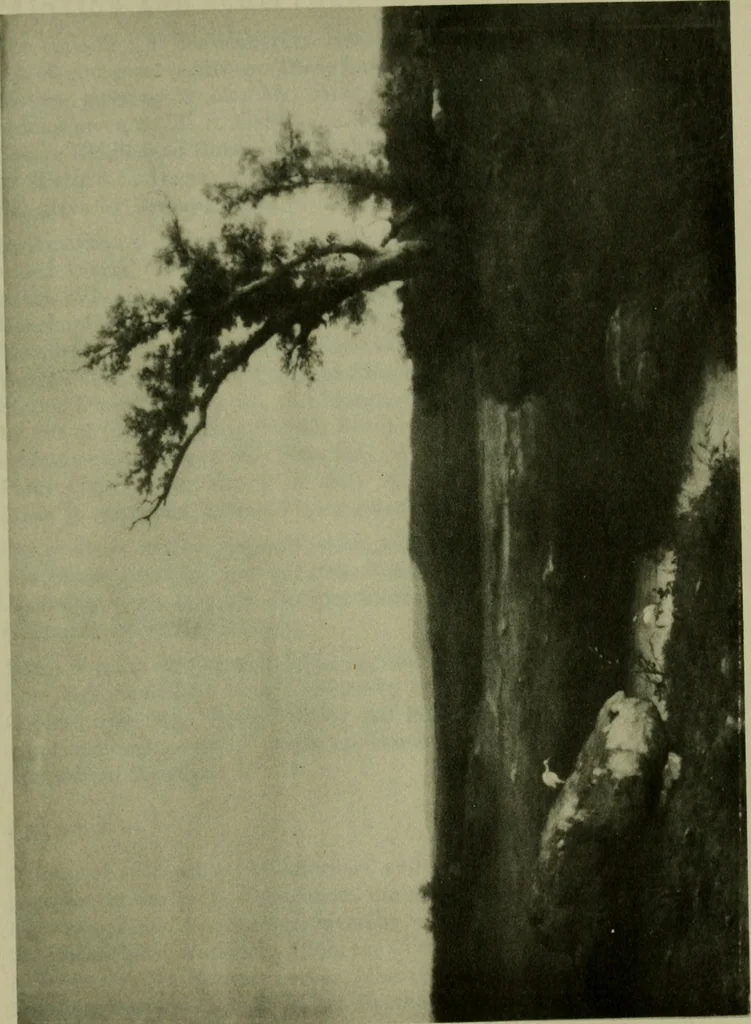 An illustration from Annual report of the Philadelphia Museum of Art, 1878, leaf 424