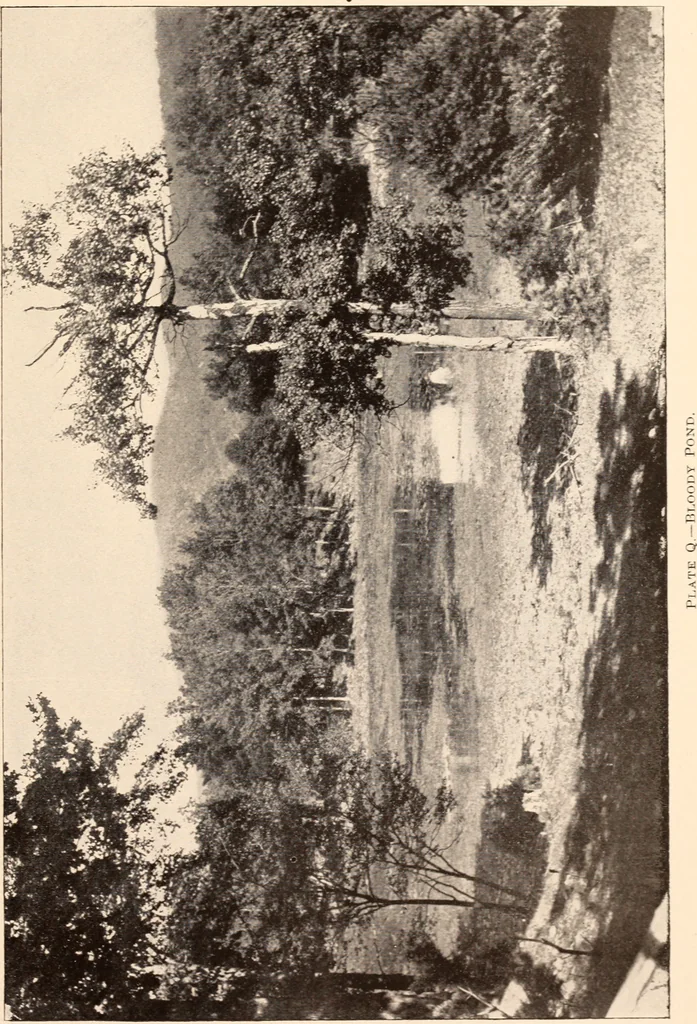 An illustration from Annual report of the Society for the Preservation of Scenic and Historic Places and Objects to the legislature of the State of New York, 1899, leaf 100