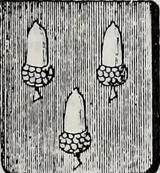 An illustration from Annuare général héraldique, 1903, leaf 1190