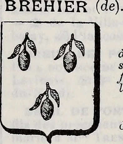 An illustration from Annuare général héraldique, 1903, leaf 598