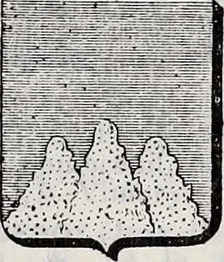 An illustration from Annuare général héraldique, 1903, leaf 716