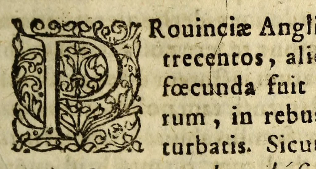 An illustration from Annuæ literæ Societatis Iesu anni M.DC.L. Francisco Piccolomineo Præposito Generali societatem gubernante. : Accessit ad calcem catalogus librorum anno 1650. à nostris editorum, & index rerum, 1658, leaf 45