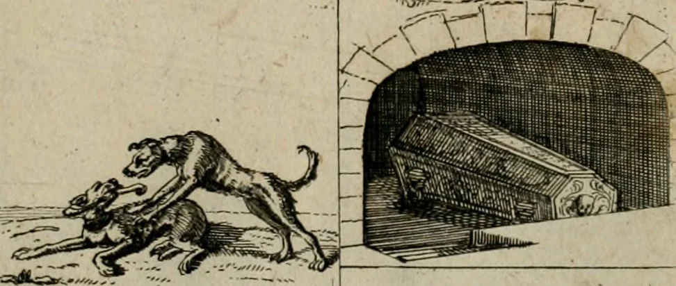 An illustration from Annus symbolicus, emblemmatice, et versu leonino : quemcumq[ue] statum hominum incitans ad animum pie recreandum : humillimè oblatus serenissimo electorali principi Carolo Alberto vtriusq[ue] Bavariae &c. duci. etc. etc. [sic] : accrescenti orbis terrae delicio, 1699, leaf 34