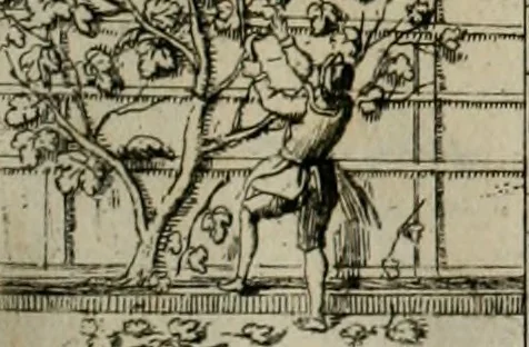 An illustration from Annus symbolicus, emblemmatice, et versu leonino : quemcumq[ue] statum hominum incitans ad animum pie recreandum : humillimè oblatus serenissimo electorali principi Carolo Alberto vtriusq[ue] Bavariae &c. duci. etc. etc. [sic] : accrescenti orbis terrae delicio, 1699, leaf 84
