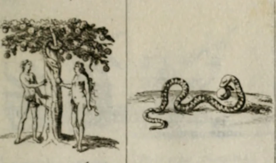 An illustration from Annus symbolicus, emblemmatice, et versu leonino : quemcumq[ue] statum hominum incitans ad animum pie recreandum. Humillimè oblatus serenissimo electorali principi Iosepho Ferdinando vtriusq[ue] Bavariae &c. duci. etc. etc. Accrescenti orbis terrae delicio, 1696, leaf 26