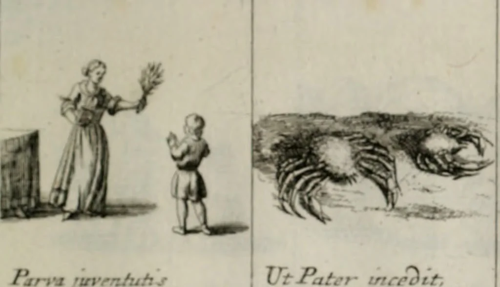 An illustration from Annus symbolicus, emblemmatice, et versu leonino : quemcumq[ue] statum hominum incitans ad animum pie recreandum. Humillimè oblatus serenissimo electorali principi Iosepho Ferdinando vtriusq[ue] Bavariae &c. duci. etc. etc. Accrescenti orbis terrae delicio, 1696, leaf 40