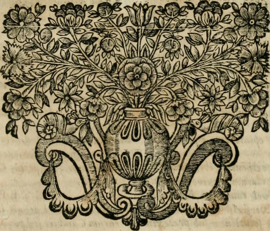 An illustration from Ansaldi de Ansaldis ... Discursus legales, de commercio, et mercatura: in quibus vniversa fere commercii, et mercatvrae materia resolutivè continetur. Cum indice argvmentorvm, cavsarvm, materiarvm, & rerum opulentissimo, 1698, leaf 458