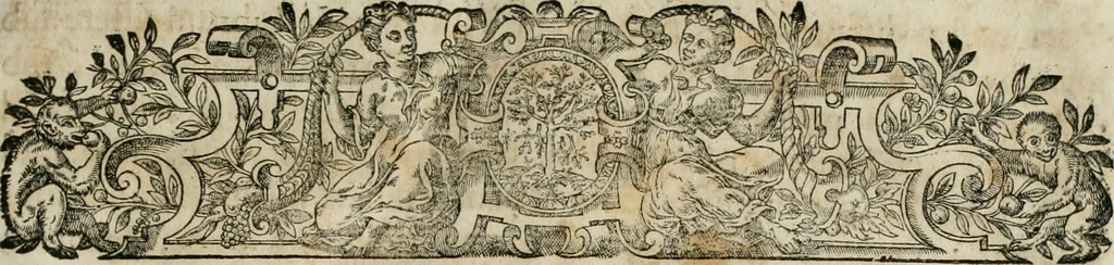 An illustration from Ansaldi de Ansaldis ... Discursus legales, de commercio, et mercatura: in quibus vniversa fere commercii, et mercatvrae materia resolutivè continetur. Cum indice argvmentorvm, cavsarvm, materiarvm, & rerum opulentissimo, 1698, leaf 8
