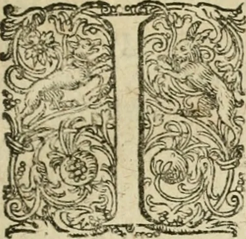 An illustration from Anselmi Boetii de Boodt ... Gemmarvm et lapidvm historia : qua non solum ortus, natura, vis & precium, sed etiam modus quo ex iis olea, salia, tincturae, essentiae, arcana & magisteria arte chymica confici possint, ostenditur : opvs principibvs, medicis, chymicis, physicis, ac liberalioribus ingeniis vtilissimum : cum variis figuris, indiceq. duplici & copioso, 1609, leaf 14