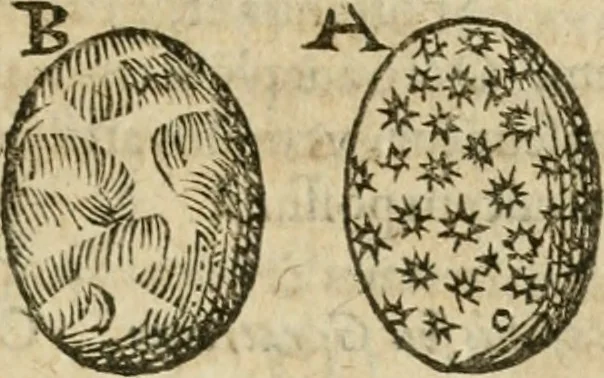 An illustration from Anselmi Boetii de Boodt ... Gemmarvm et lapidvm historia : qua non solum ortus, natura, vis & precium, sed etiam modus quo ex iis olea, salia, tincturae, essentiae, arcana & magisteria arte chymica confici possint, ostenditur : opvs principibvs, medicis, chymicis, physicis, ac liberalioribus ingeniis vtilissimum : cum variis figuris, indiceq. duplici & copioso, 1609, leaf 168