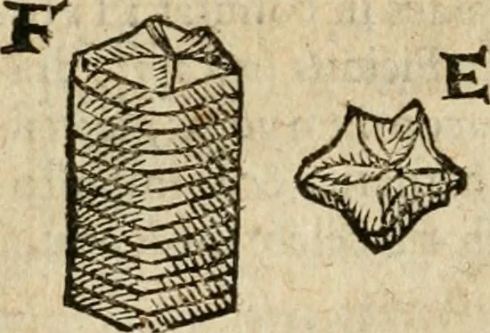 An illustration from Anselmi Boetii de Boodt ... Gemmarvm et lapidvm historia : qua non solum ortus, natura, vis & precium, sed etiam modus quo ex iis olea, salia, tincturae, essentiae, arcana & magisteria arte chymica confici possint, ostenditur : opvs principibvs, medicis, chymicis, physicis, ac liberalioribus ingeniis vtilissimum : cum variis figuris, indiceq. duplici & copioso, 1609, leaf 169