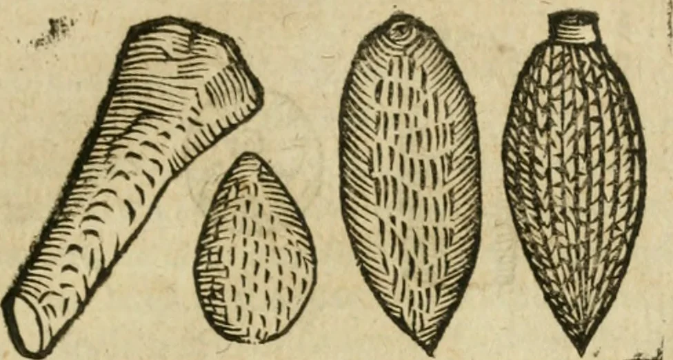 An illustration from Anselmi Boetii de Boodt ... Gemmarvm et lapidvm historia : qua non solum ortus, natura, vis & precium, sed etiam modus quo ex iis olea, salia, tincturae, essentiae, arcana & magisteria arte chymica confici possint, ostenditur : opvs principibvs, medicis, chymicis, physicis, ac liberalioribus ingeniis vtilissimum : cum variis figuris, indiceq. duplici & copioso, 1609, leaf 218