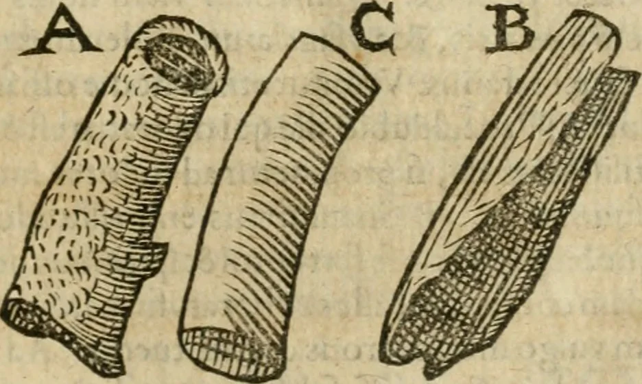 An illustration from Anselmi Boetii de Boodt ... Gemmarvm et lapidvm historia : qua non solum ortus, natura, vis & precium, sed etiam modus quo ex iis olea, salia, tincturae, essentiae, arcana & magisteria arte chymica confici possint, ostenditur : opvs principibvs, medicis, chymicis, physicis, ac liberalioribus ingeniis vtilissimum : cum variis figuris, indiceq. duplici & copioso, 1609, leaf 222