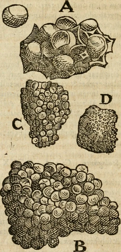 An illustration from Anselmi Boetii de Boodt ... Gemmarvm et lapidvm historia : qua non solum ortus, natura, vis & precium, sed etiam modus quo ex iis olea, salia, tincturae, essentiae, arcana & magisteria arte chymica confici possint, ostenditur : opvs principibvs, medicis, chymicis, physicis, ac liberalioribus ingeniis vtilissimum : cum variis figuris, indiceq. duplici & copioso, 1609, leaf 225
