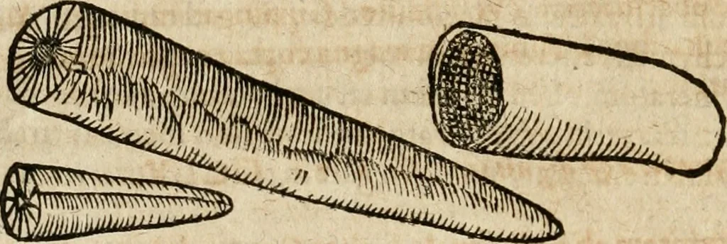 An illustration from Anselmi Boetii de Boodt ... Gemmarvm et lapidvm historia : qua non solum ortus, natura, vis & precium, sed etiam modus quo ex iis olea, salia, tincturae, essentiae, arcana & magisteria arte chymica confici possint, ostenditur : opvs principibvs, medicis, chymicis, physicis, ac liberalioribus ingeniis vtilissimum : cum variis figuris, indiceq. duplici & copioso, 1609, leaf 253