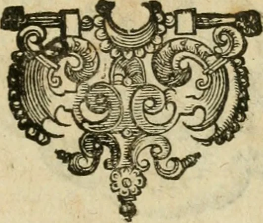 An illustration from Anselmi Boetii de Boodt ... Gemmarvm et lapidvm historia : qua non solum ortus, natura, vis & precium, sed etiam modus quo ex iis olea, salia, tincturae, essentiae, arcana & magisteria arte chymica confici possint, ostenditur : opvs principibvs, medicis, chymicis, physicis, ac liberalioribus ingeniis vtilissimum : cum variis figuris, indiceq. duplici & copioso, 1609, leaf 320