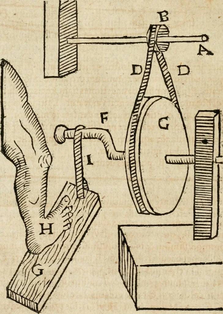 An illustration from Anselmi Boetii de Boodt ... Gemmarvm et lapidvm historia : qua non solum ortus, natura, vis & precium, sed etiam modus quo ex iis olea, salia, tincturae, essentiae, arcana & magisteria arte chymica confici possint, ostenditur : opvs principibvs, medicis, chymicis, physicis, ac liberalioribus ingeniis vtilissimum : cum variis figuris, indiceq. duplici & copioso, 1609, leaf 57