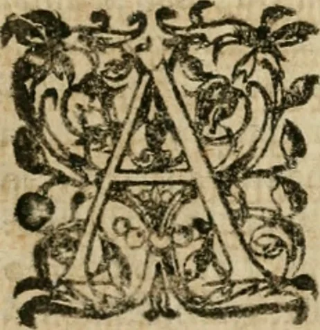 An illustration from Anselmi Boetii de Boodt ... Gemmarvm et lapidvm historia : qua non solum ortus, natura, vis & precium, sed etiam modus quo ex iis olea, salia, tincturae, essentiae, arcana & magisteria arte chymica confici possint, ostenditur : opvs principibvs, medicis, chymicis, physicis, ac liberalioribus ingeniis vtilissimum : cum variis figuris, indiceq. duplici & copioso, 1609, leaf 78