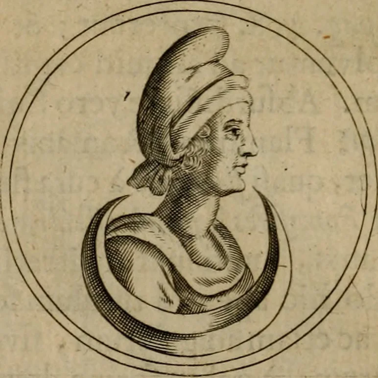 An illustration from Anselmus Solerius cemeliensis De pileo : caeterisque capitis tegminibus tam sacris, quàm profanis, 1672, leaf 255