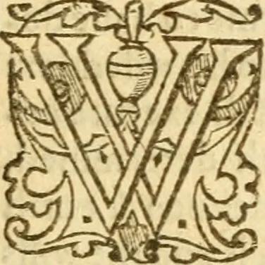 An illustration from An Answere to a great number of blasphemous cavillations written by an Anabaptist, and adversarie to God's eternall predestination, 1591, leaf 20