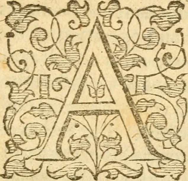 An illustration from An Answere to a great number of blasphemous cavillations written by an Anabaptist, and adversarie to God's eternall predestination, 1591, leaf 6