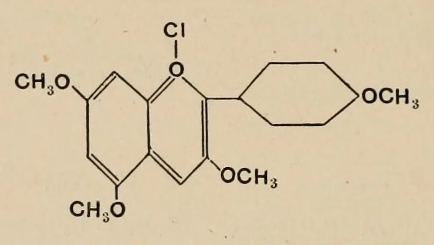 An illustration from The anthocyanin pigments of plants, 1916, leaf 238