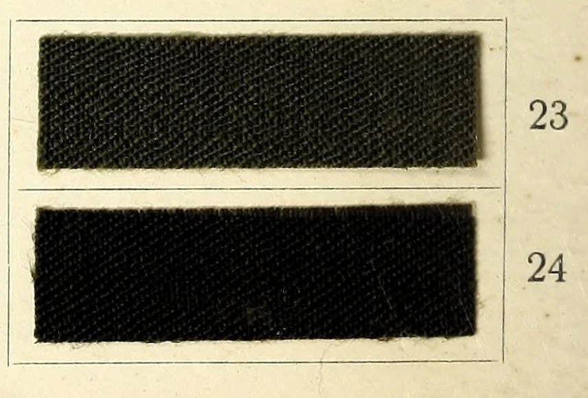An illustration from Anthracyanin A-Marken = Anthracyanine A-brands = Les marques d'anthra cyanine A, 1900, leaf 10