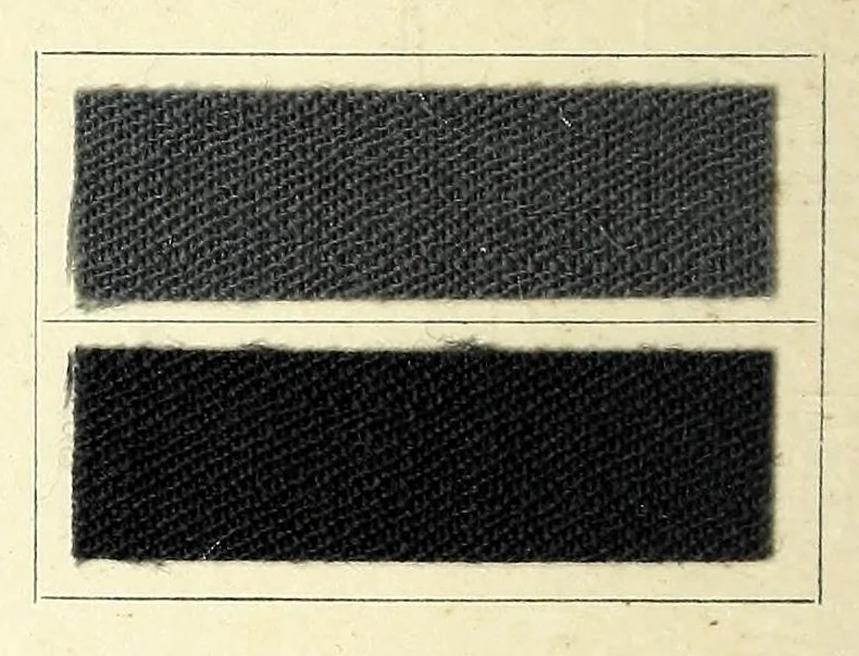 An illustration from Anthracyanin A-Marken = Anthracyanine A-brands = Les marques d'anthra cyanine A, 1900, leaf 10
