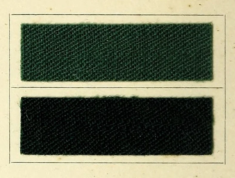 An illustration from Anthracyanin A-Marken = Anthracyanine A-brands = Les marques d'anthra cyanine A, 1900, leaf 10