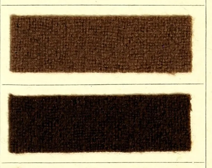 An illustration from Anthracyanin A-Marken = Anthracyanine A-brands = Les marques d'anthra cyanine A, 1900, leaf 11
