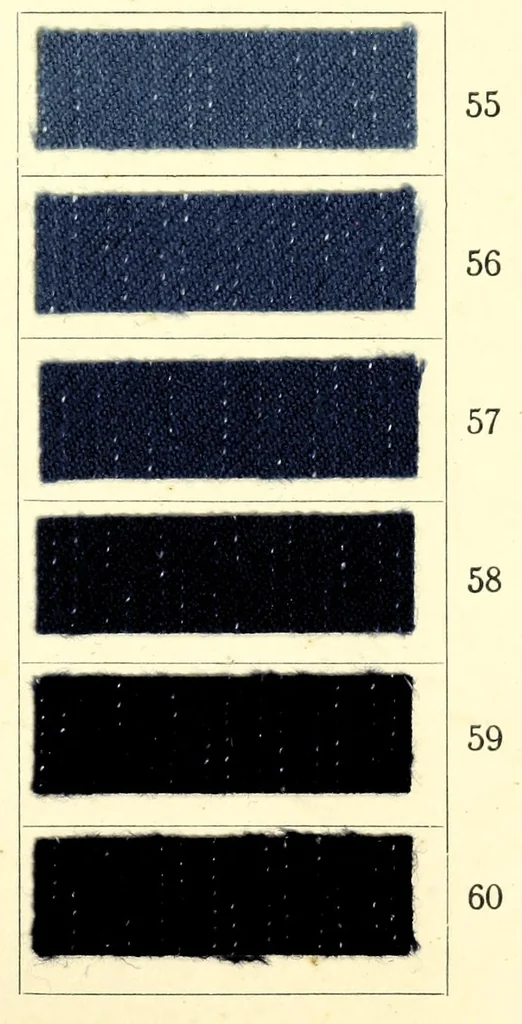 An illustration from Anthracyanin A-Marken = Anthracyanine A-brands = Les marques d'anthra cyanine A, 1900, leaf 13
