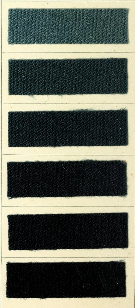 An illustration from Anthracyanin A-Marken = Anthracyanine A-brands = Les marques d'anthra cyanine A, 1900, leaf 14