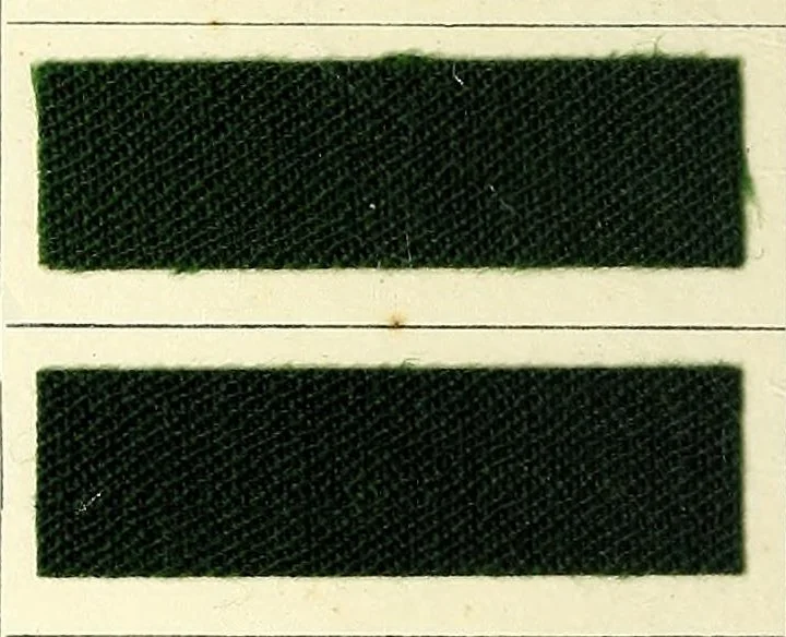 An illustration from Anthracyanin A-Marken = Anthracyanine A-brands = Les marques d'anthra cyanine A, 1900, leaf 14