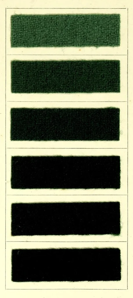 An illustration from Anthracyanin A-Marken = Anthracyanine A-brands = Les marques d'anthra cyanine A, 1900, leaf 15