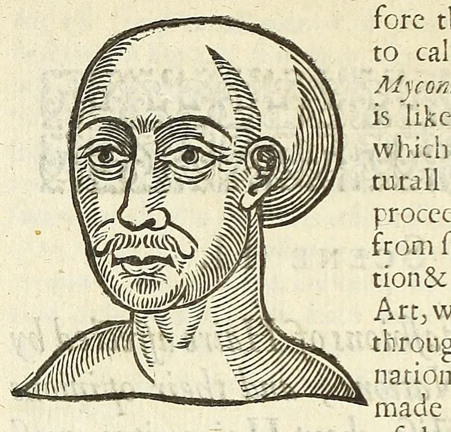 An illustration from Anthropometamorphosis: man transform'd: or, The artificiall changling, historically presented, in the mad and cruel gallantry, foolish bravery, ridiculous beauty, filthy finenesse, and loathsome loveliness of most nations, fashioning and altering their bodies from the mould intended by nature; with figures of those transformations. To which artificial and affected deformations are added, all the native and national monstrosities that have appeared to disfigure the humane fabrick. With a vindication of the regular beauty and honesty of nature, 1653, leaf 104