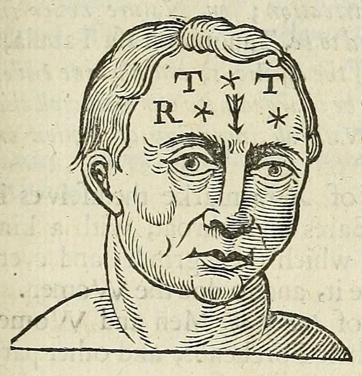 An illustration from Anthropometamorphosis: man transform'd: or, The artificiall changling, historically presented, in the mad and cruel gallantry, foolish bravery, ridiculous beauty, filthy finenesse, and loathsome loveliness of most nations, fashioning and altering their bodies from the mould intended by nature; with figures of those transformations. To which artificial and affected deformations are added, all the native and national monstrosities that have appeared to disfigure the humane fabrick. With a vindication of the regular beauty and honesty of nature, 1653, leaf 139