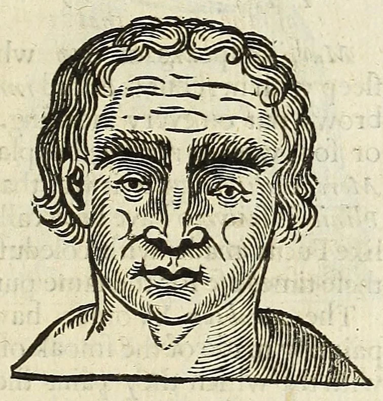 An illustration from Anthropometamorphosis: man transform'd: or, The artificiall changling, historically presented, in the mad and cruel gallantry, foolish bravery, ridiculous beauty, filthy finenesse, and loathsome loveliness of most nations, fashioning and altering their bodies from the mould intended by nature; with figures of those transformations. To which artificial and affected deformations are added, all the native and national monstrosities that have appeared to disfigure the humane fabrick. With a vindication of the regular beauty and honesty of nature, 1653, leaf 145